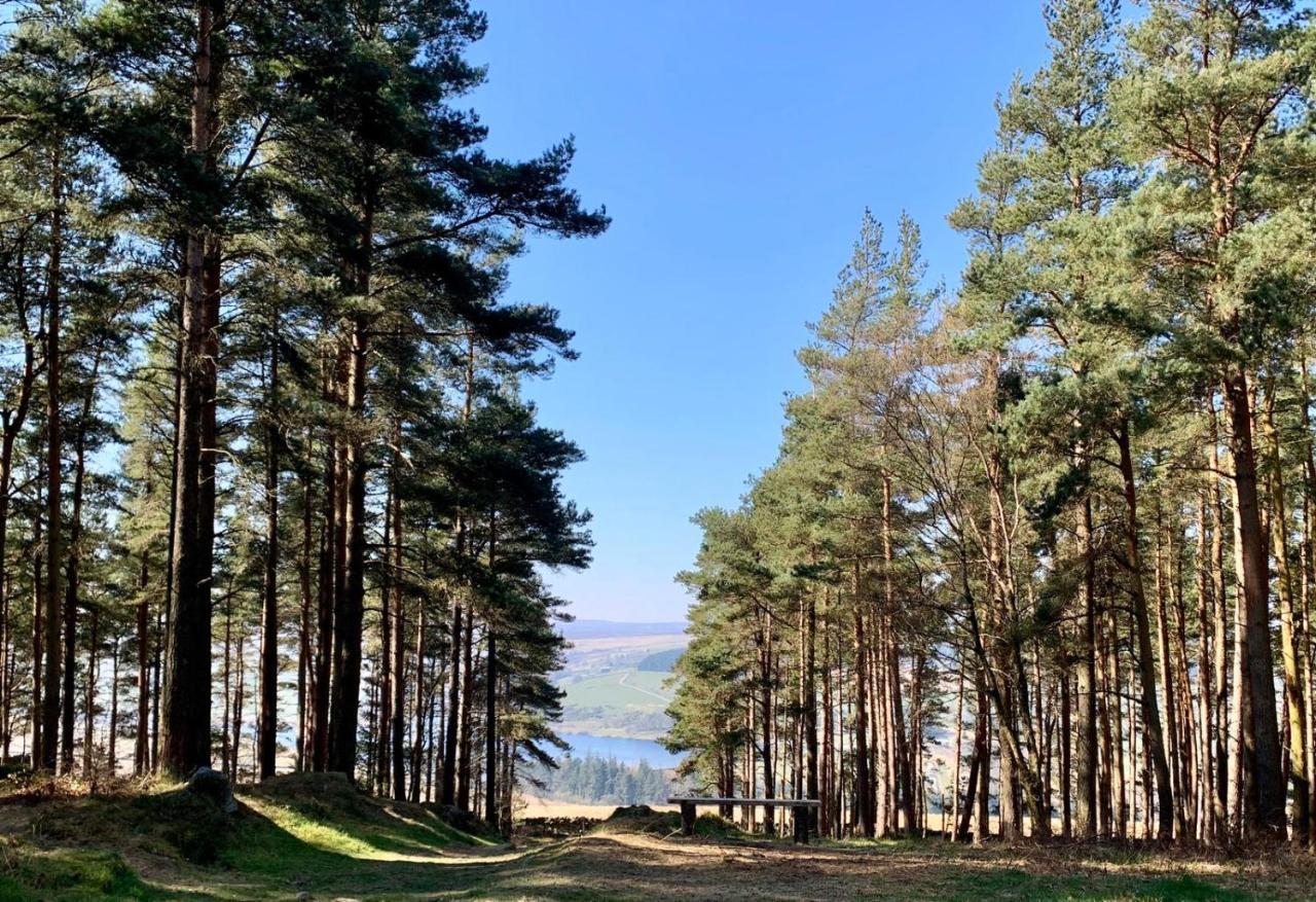 Swinton Bivouac Villa Masham Kültér fotó